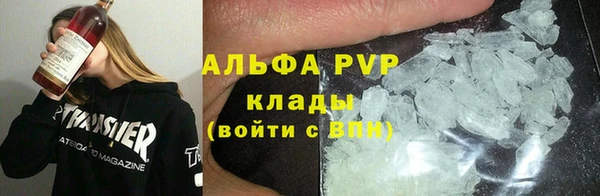 крисы Алзамай