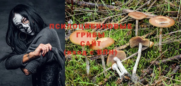 ALPHA-PVP Остров