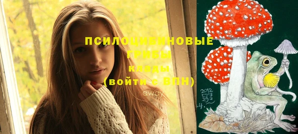 таблы Алексеевка