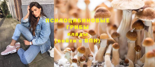 гидропоника Алексин