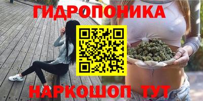 ГАЛЛЮЦИНОГЕННЫЕ ГРИБЫ Рыбинск