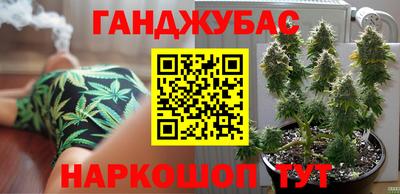 apvp Пугачёв