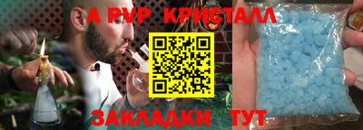 apvp Пугачёв