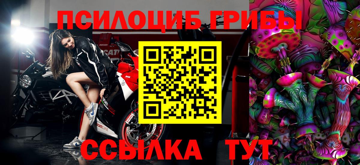 Псилоцибиновые грибы мицелий  Вход с VPN  Сосновый Бор 
