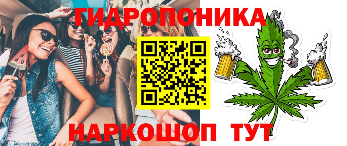 Сосновый Бор  Каннабис план  Вход с VPN  Конопля Bruce Banner  Бошки Шишки план 